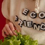 Person wearing an 'eco friendly' hoodie holding fresh green lettuce against a red background.