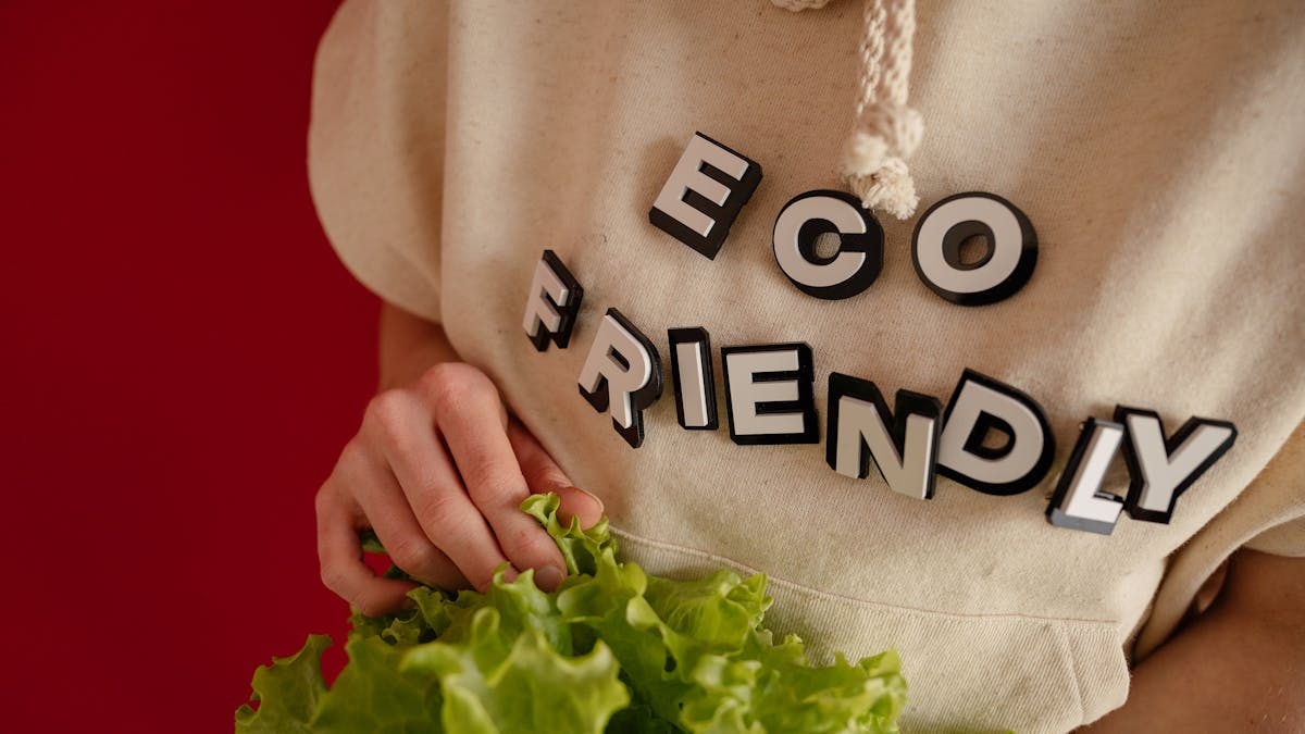 Person wearing an 'eco friendly' hoodie holding fresh green lettuce against a red background.